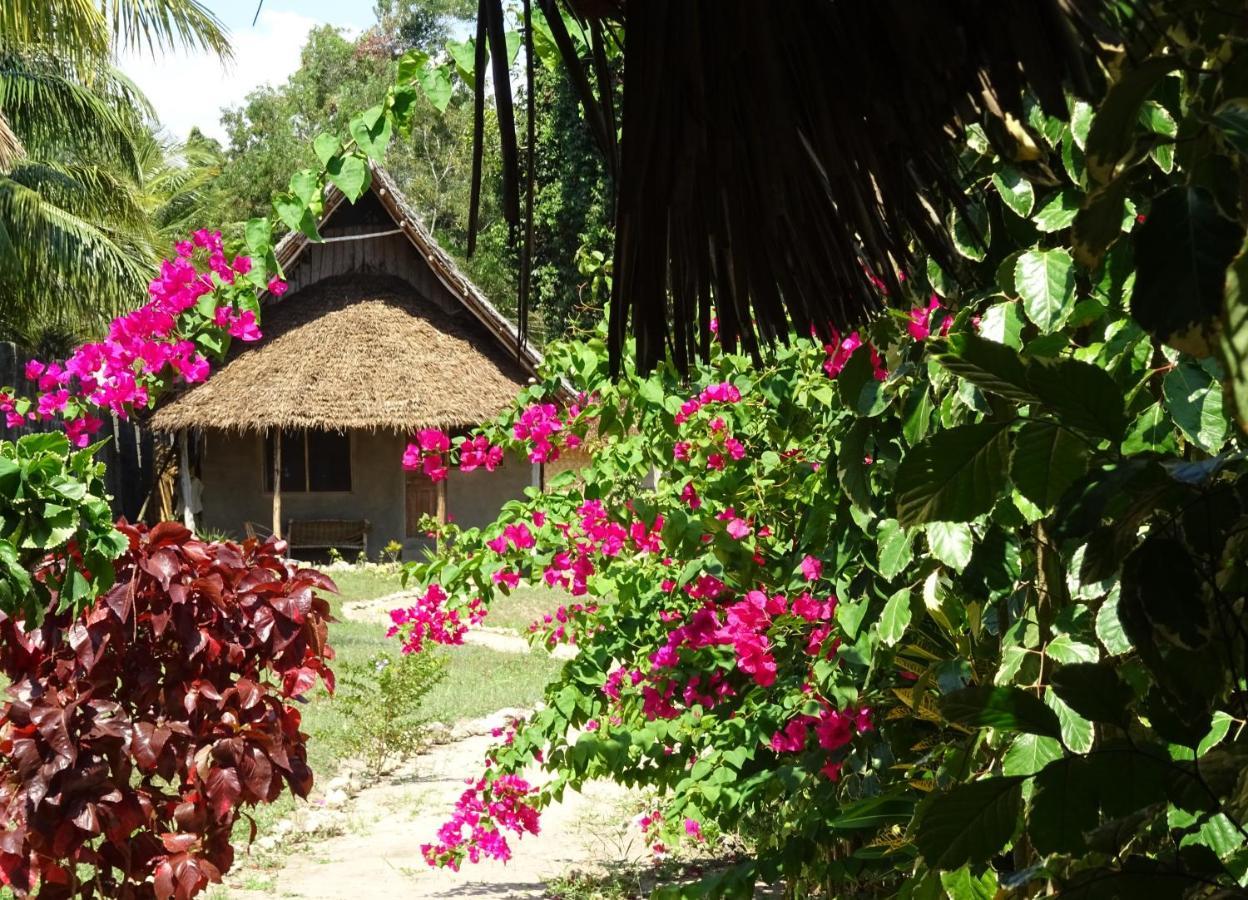 Jabar Lodge Zanzibar ภายนอก รูปภาพ