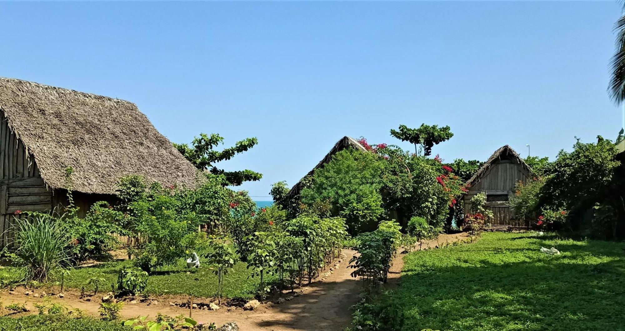 Jabar Lodge Zanzibar ภายนอก รูปภาพ